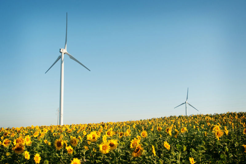 cashton-wind-farm10.jpg
